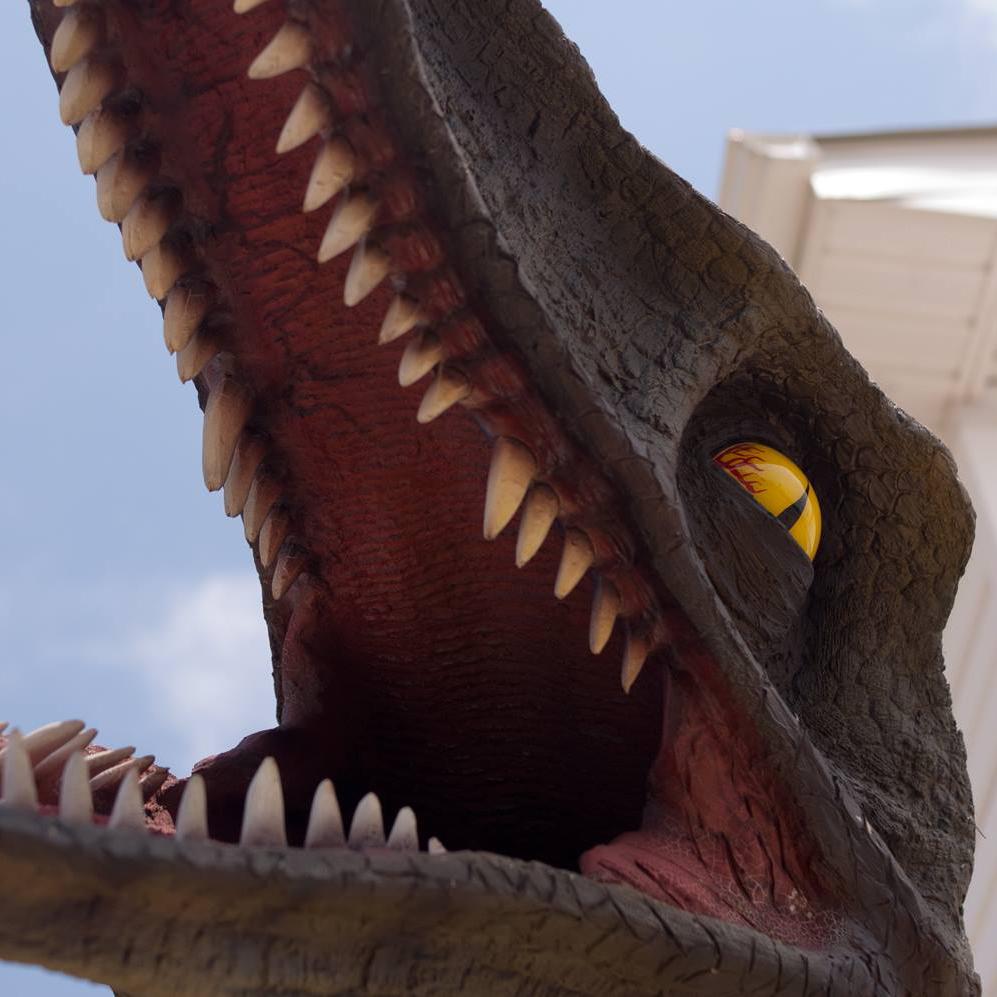 Close-up photo taken by Nancy Brauer of a lifelike velociraptor statue